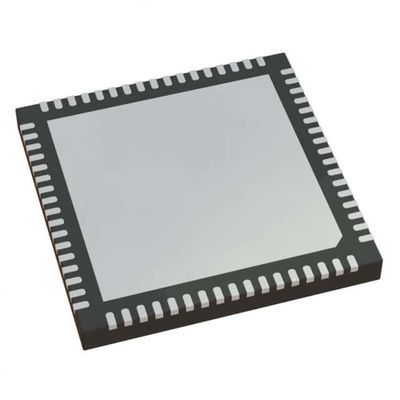 디지털 비디오 처리 칩 SI21602-B50-GMR